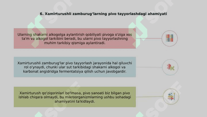 Achitqi zamburug'lar 8