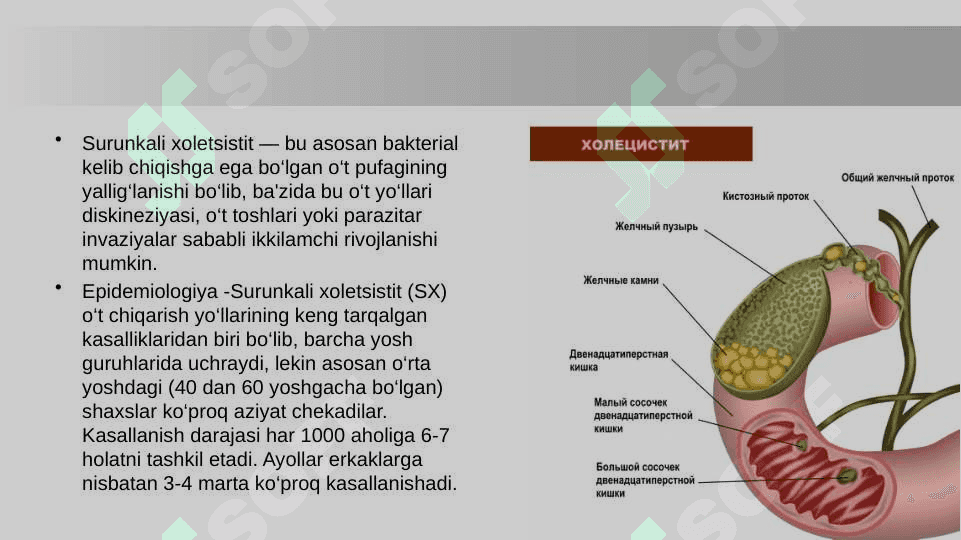 Surunkali xolesistit 5