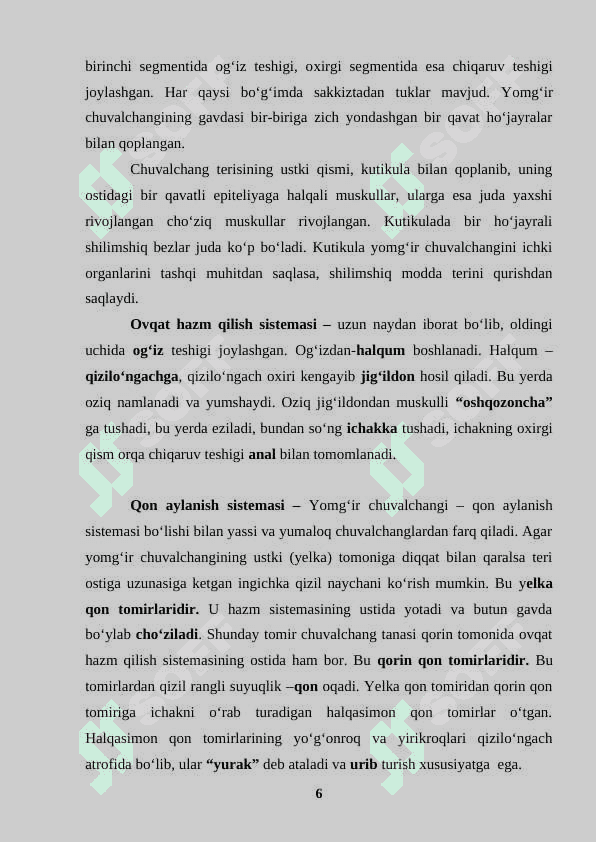 O‘zbekistonda tarqalgan halqali chuvalchanglar xilma-xilligi, ularning tuzilishi, tarqalishi, biologik xususiyatlari va amaliy ahamiyati 6