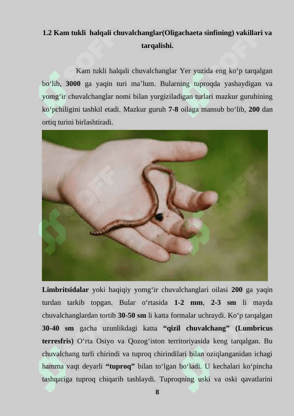 O‘zbekistonda tarqalgan halqali chuvalchanglar xilma-xilligi, ularning tuzilishi, tarqalishi, biologik xususiyatlari va amaliy ahamiyati 8
