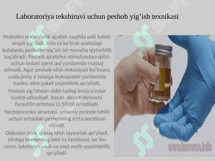 LABORATORIYA TEKSHIRUVI UCHUN MATERIALLAR YIG’ISH: SIYDIK, QON, BALG’AM. 3