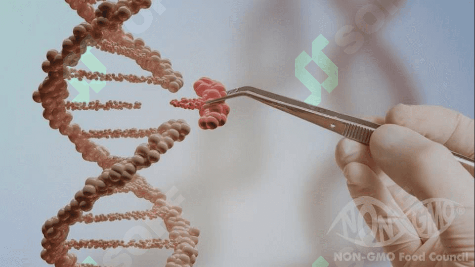 Genlarni tahrirlash tizimlarining yangi avlod texnologiyalari. ZINC FINGER, TALEN, CRISPR. 4