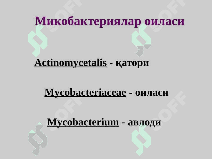 Хаво томчи инфекциялари сил , мохов 3