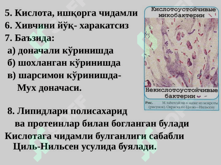 Хаво томчи инфекциялари сил , мохов 8