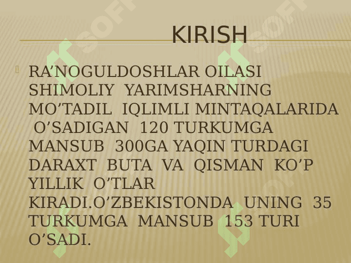 Ra’noguldoshlar  oilasining asosiy turkum va turlari 3