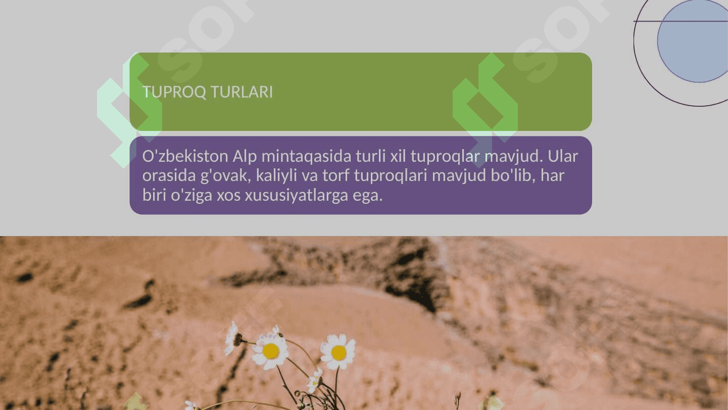O'zbekistonning alp mintaqa tuproqlarii 5