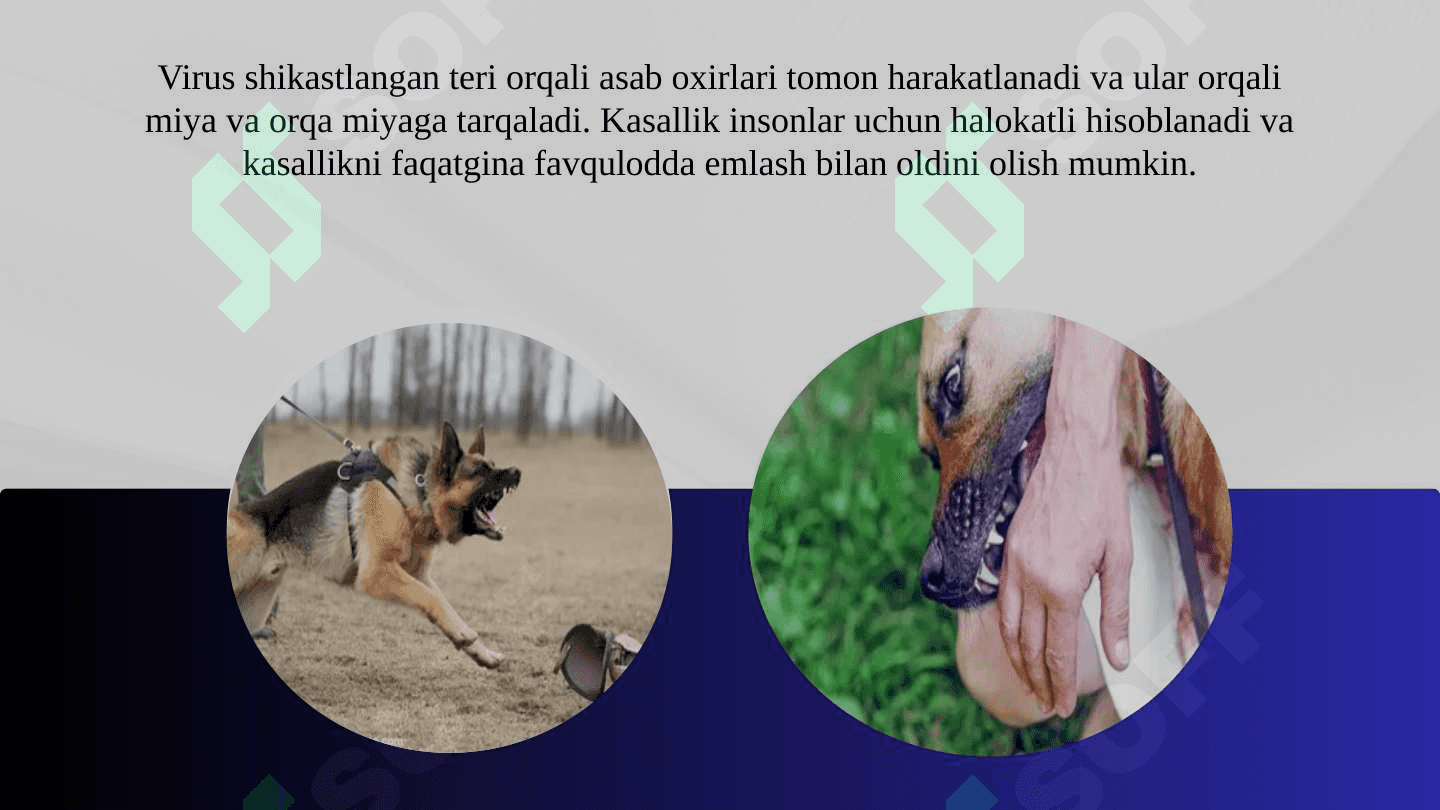 Quturish kasalligi 3