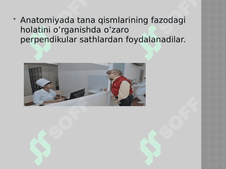anatomik iboralar tarjimasi 3