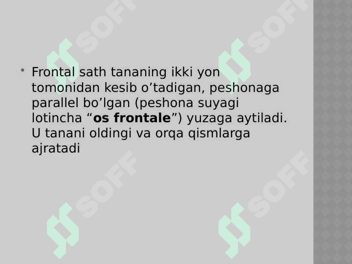 anatomik iboralar tarjimasi 4