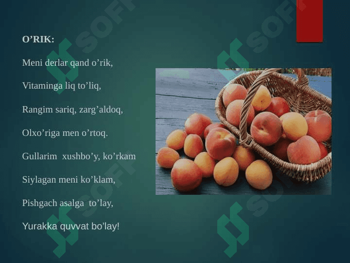 HOSIL BAYRAMI 8
