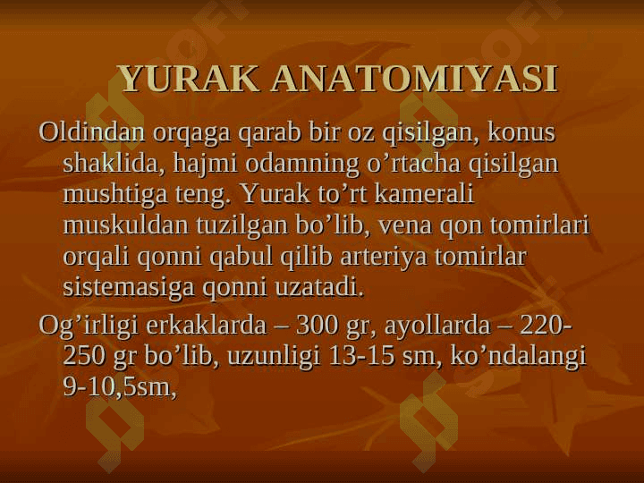 Yurak anatomiyasi 5