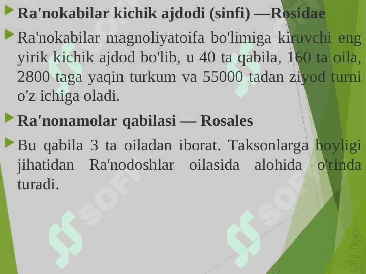 ATIRGULDOSHLAR OILASI. 2