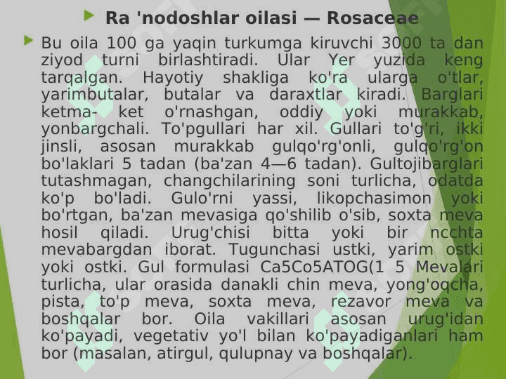 ATIRGULDOSHLAR OILASI. 3