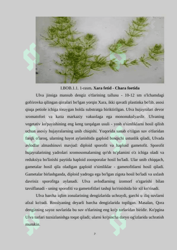 XARA SUVO'TLARINING SISTEMATIKASI VA TARQALISHI 6