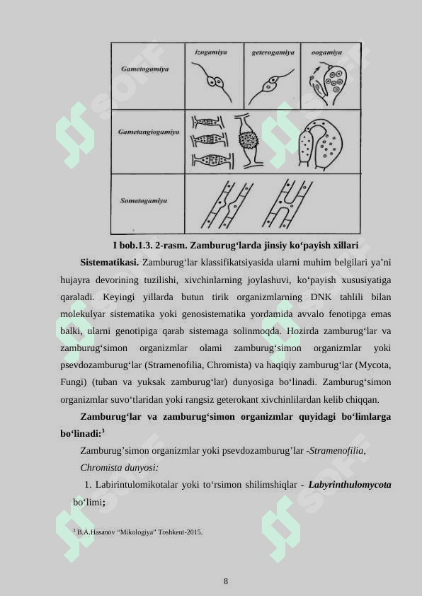 ZAMBURUG‘LAR (MYCOTA) DUNYOSINING TASNIFI. ZAMBURUG’LARNING(MYCOTA) AHAMIYATI 8