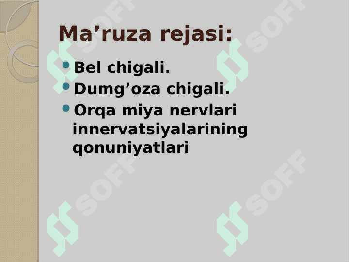 Bel va dumg'aza chigallarining anatomiyasi 2