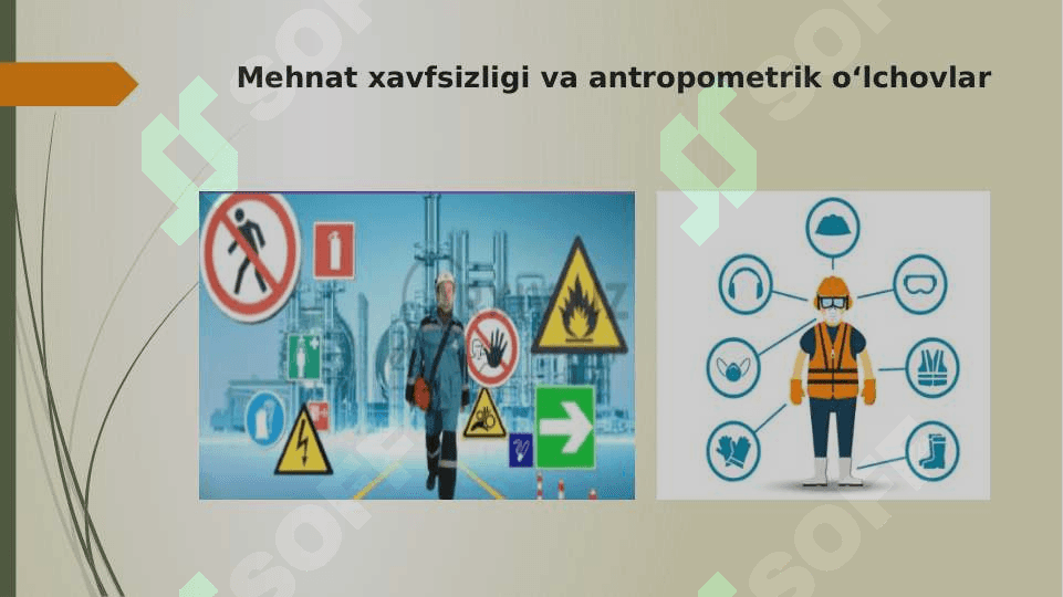 Odam anatomiyasining (antropometrik parametrlarining) xavfsizlikni ta’min lashdagi ahamiyati 8