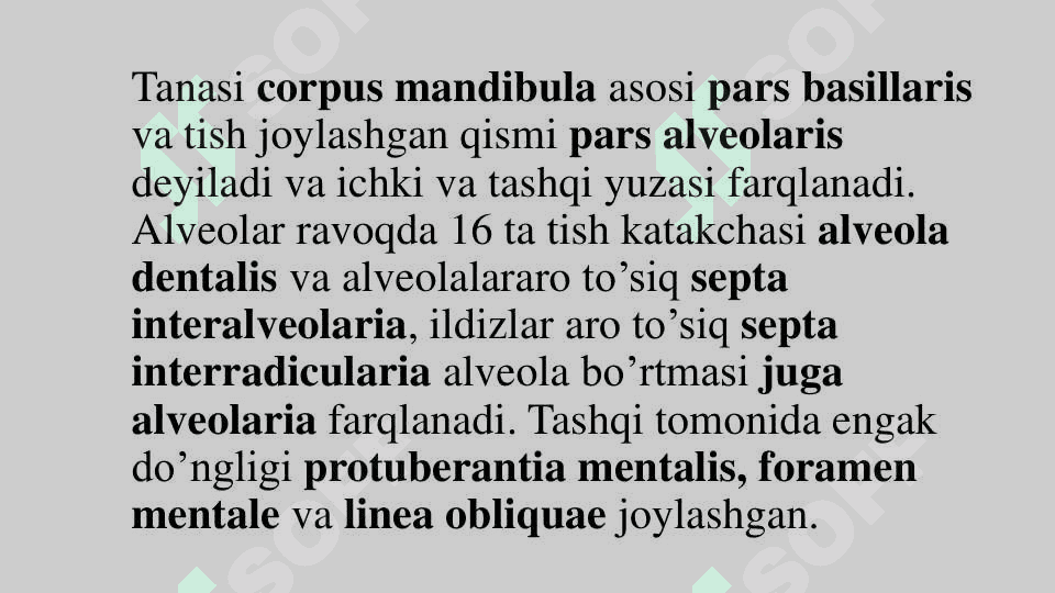 Pastki jag' suyagi 2