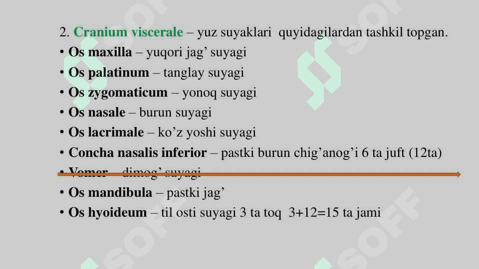 Kalla skeleti 3