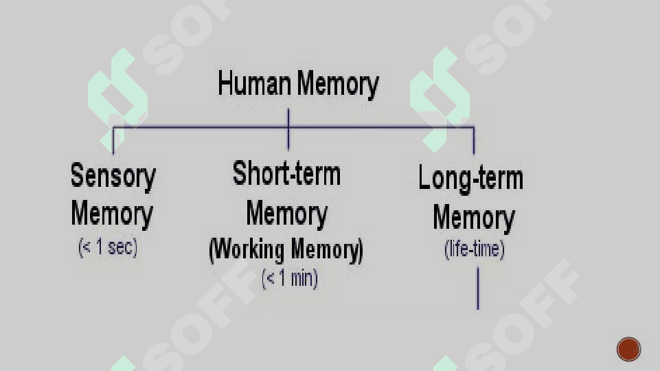 “TALK ABOUT MEMORY. VERB PHRASES” 3