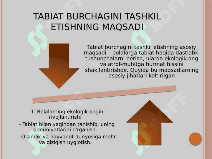 Maktabgacha ta‘lim tashkilotida tabiat burchagini tashkil etish 3