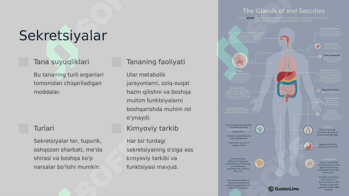 Organ va to'qimalarning yunon-lotin dublet belgilari, terapevtik va jarrohlik usullari.Qadimgi Yunonistonda kosmetikadan foydalanish.Yunon-lotin dubletlari va yagona TE'lar, to'qimalar, organlar, sekretsiyalar, sekretsiyalarning belgilari, jinsi, yoshi.Zamonaviy kosmetologiya. 8