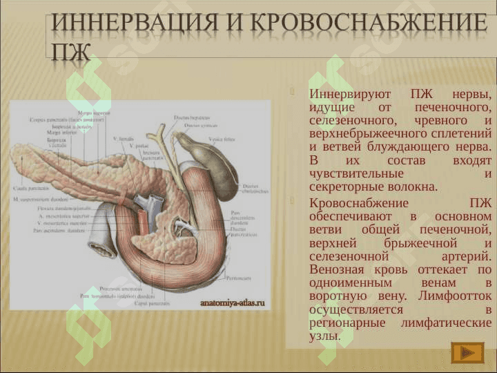 Хронический панкреатит 6