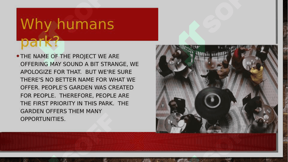 Humans park 2