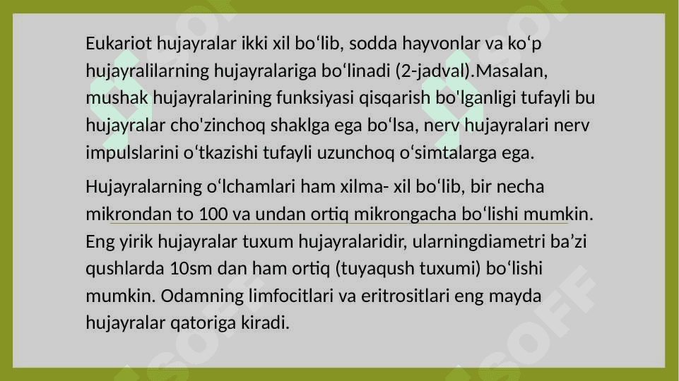 Eukariot hujayralarning
ultrastrukturaviy tuzilishi 2