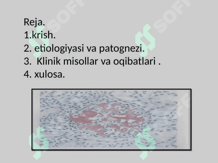 Hujayra shikastlanishida hujayralararo munosabat buzilishi 2