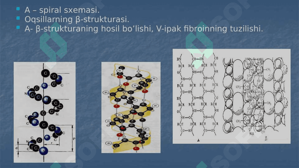Oqsillar strukturasi 3