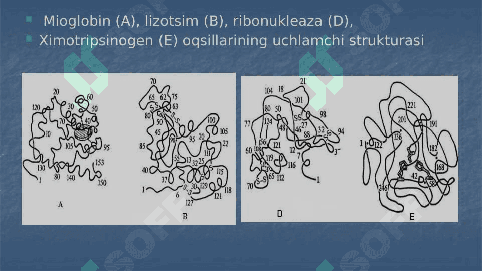 Oqsillar strukturasi 4