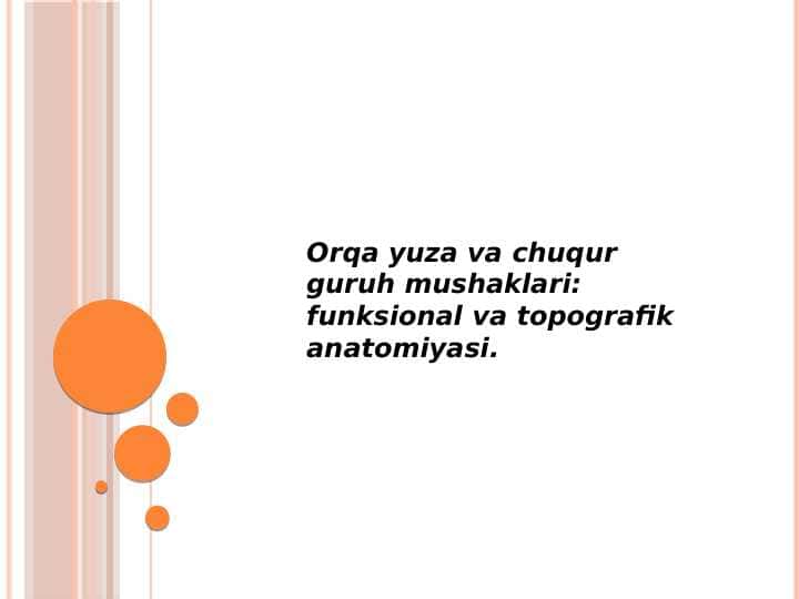Orqa yuza va chuqur guruh mushaklari