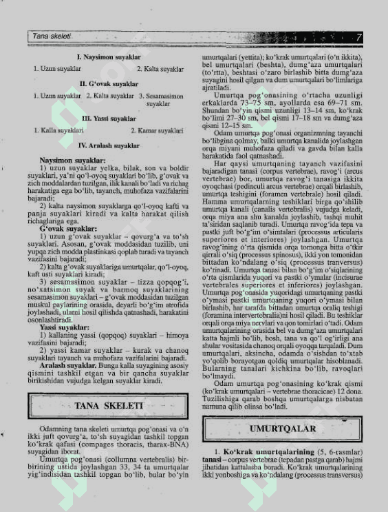 Atlas Odam Anatomiyasi 8