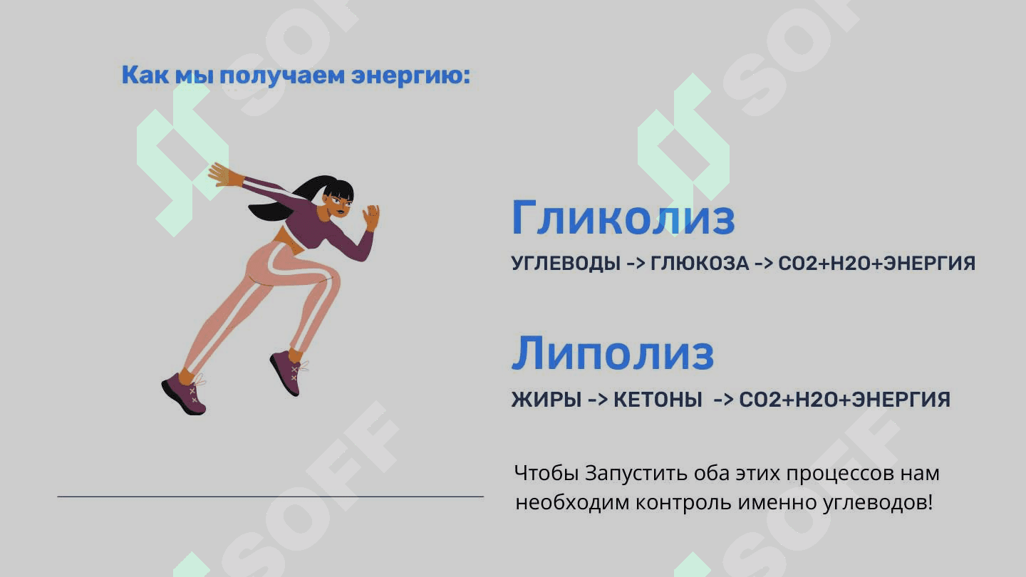 Клетка жира 3