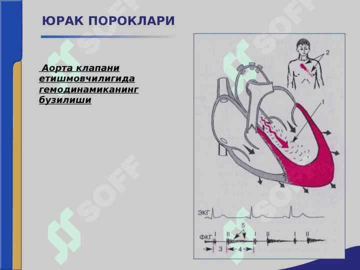 Yurak paroklari 3