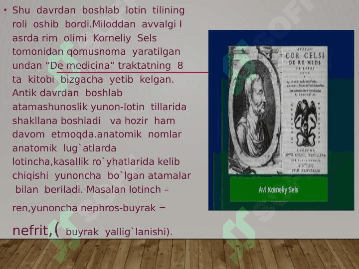Lotin  tili Rim  imperiyasi davrida  juda  ko`p  davlatlar  shu  jumladan yirik  madaniyat  o`choqlari  bo`lgan  davlatlar 4