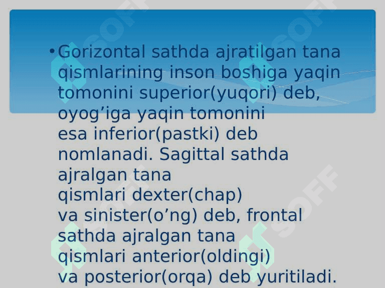 ANATOMIK IBORALARNING TARJIMASI 4