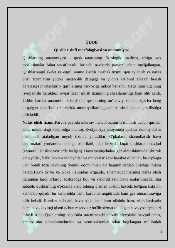 Noyob va soni kamayib borayotgan qushlar,ularni muhafaza qilishNoyob va soni kamayib borayotgan qushlar,ularni muhafaza qilish 5
