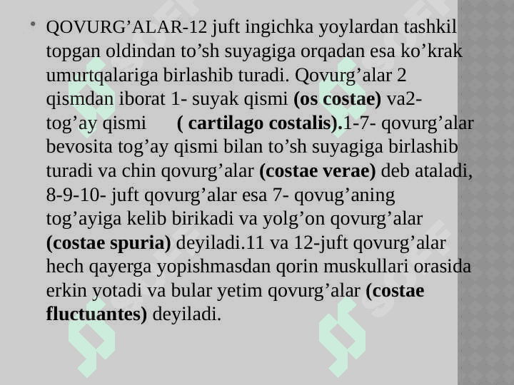ko’krak qafasi Qo’l, oyoq va chanoq suyaklarining funksional  anatomiyasi 3