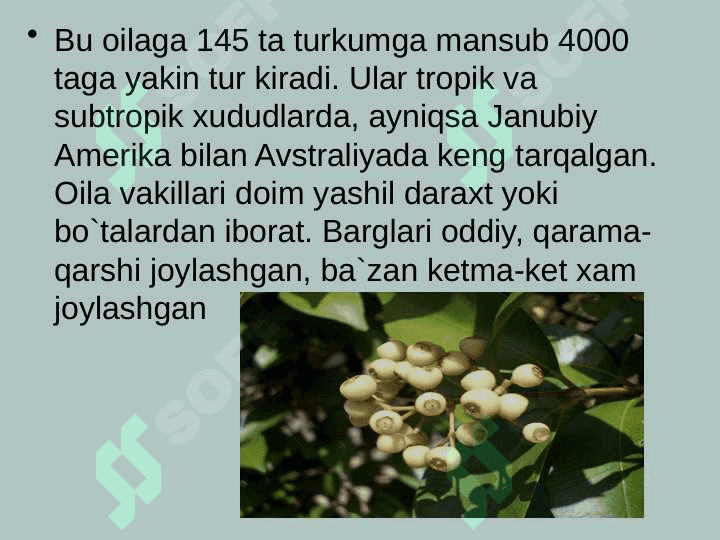 MALAKAVIY AMALIYOT HUJJATLARI jild 3