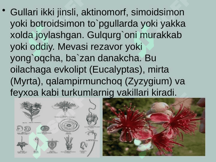 MALAKAVIY AMALIYOT HUJJATLARI jild 4