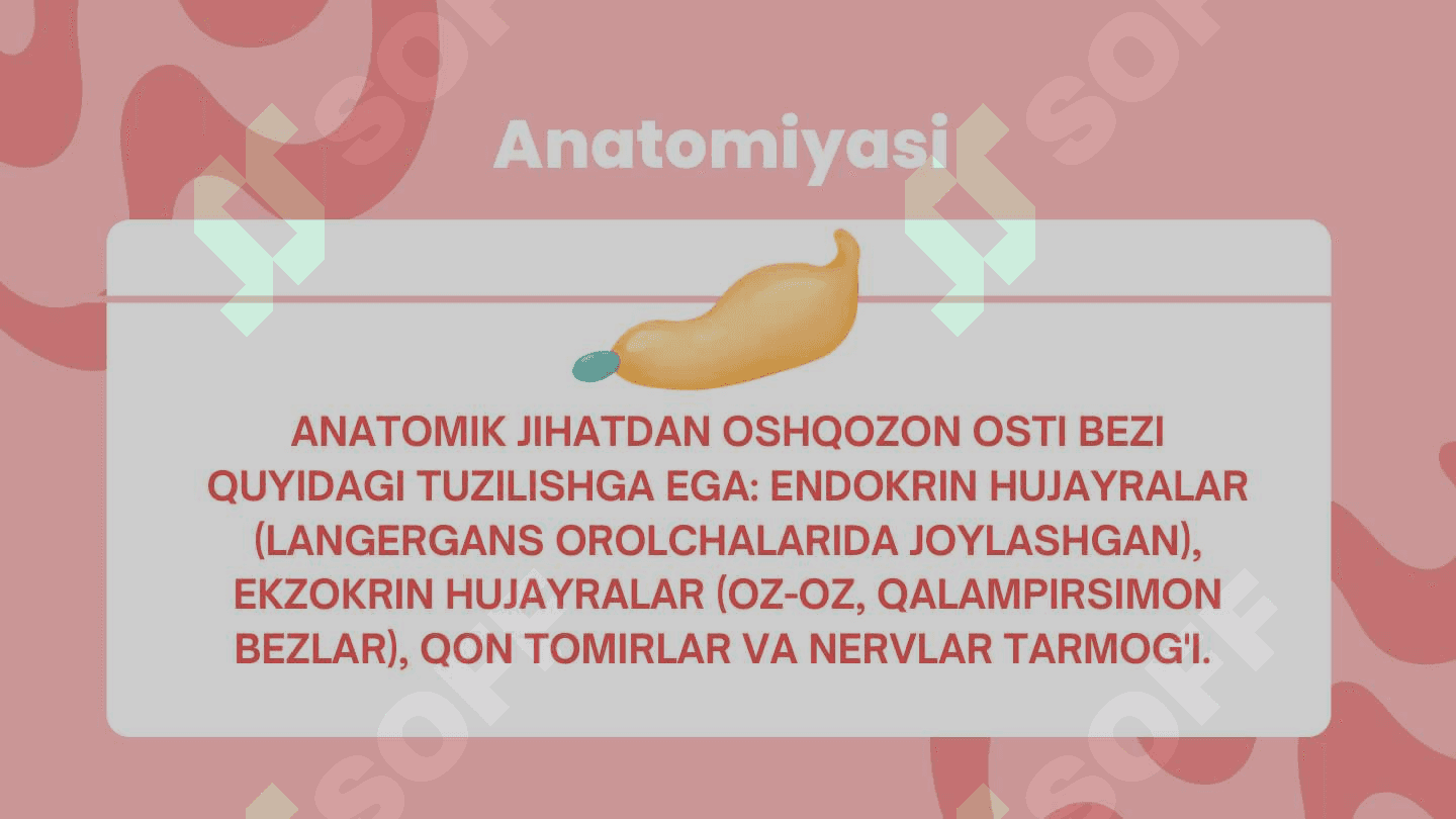 MALAKAVIY AMALIYOT HUJJATLARI jild 5