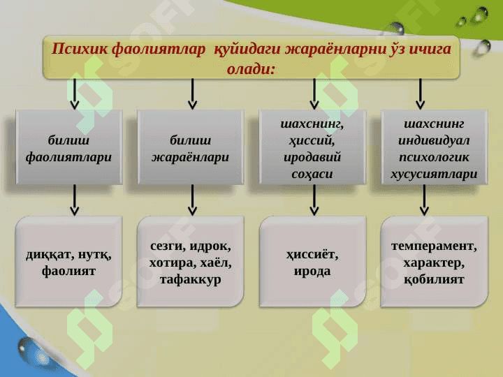 XOTIRA HAQIDA TUSHUNCHA. ХOTIRANING NERV-FIZEOLOGIK ASOSI 2