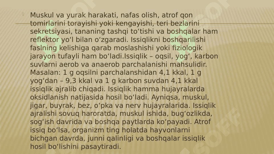 HAVO  GIGIYENASI 6