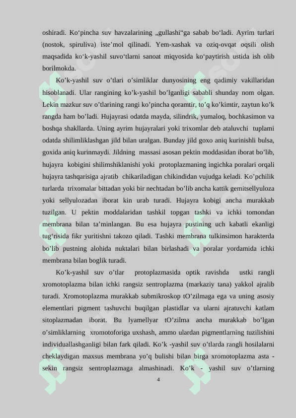KO‘K-YASHIL(CYANOPHYTA)  SUV O’TLARINING UMUMIY TASNIFI 4