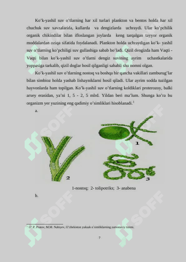KO‘K-YASHIL(CYANOPHYTA)  SUV O’TLARINING UMUMIY TASNIFI 7