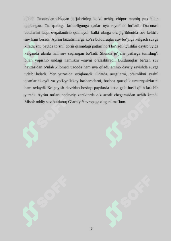 KAPTARSIMONLAR TURKUMI, ASOSIY VAKILLARI, TARQALISHI.docx 7