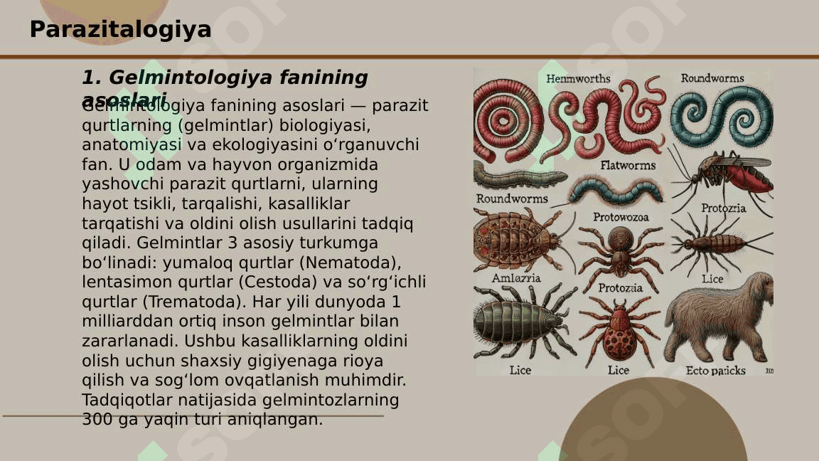 Gelmintologiya uning maqsadi va vazifalari 3