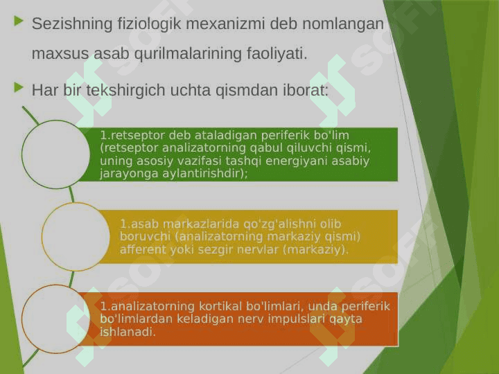 Sezgi haqida umumiy tushuncha 4